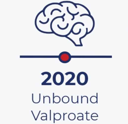 Theme 2020