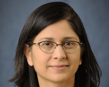 Prof. Veena Misra